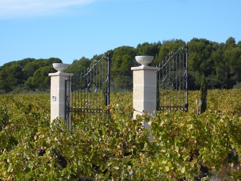 Château de Valloubière Saint-Jean-de-Fos Exterior foto
